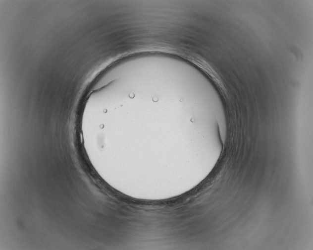 X0000112960436200910081049