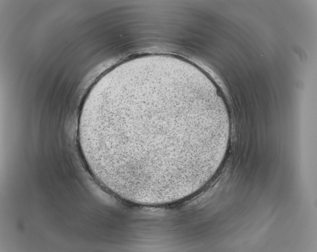 X0000112960437200910081049