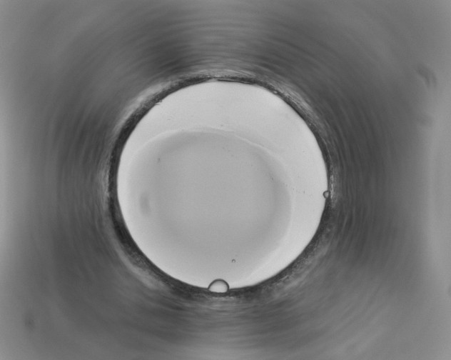 X0000112960438200910081049