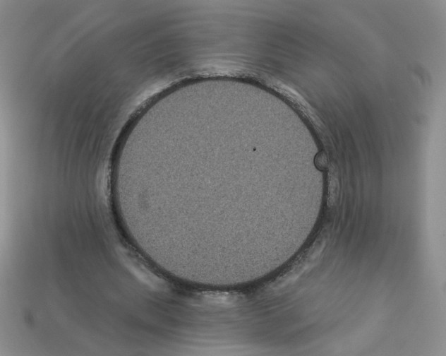 X0000112960439200910081049