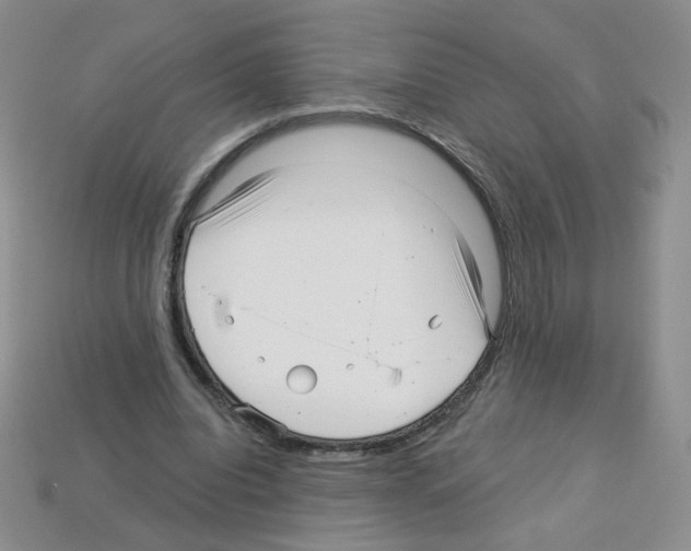 X0000112960440200910081049