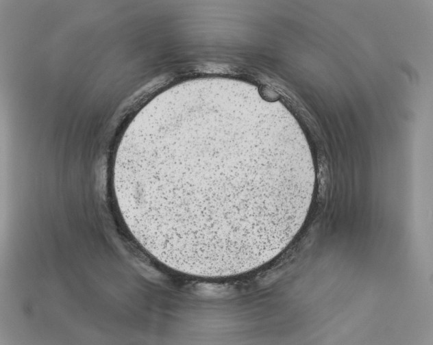 X0000112960442200910081049