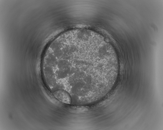 X0000112960443200910081049