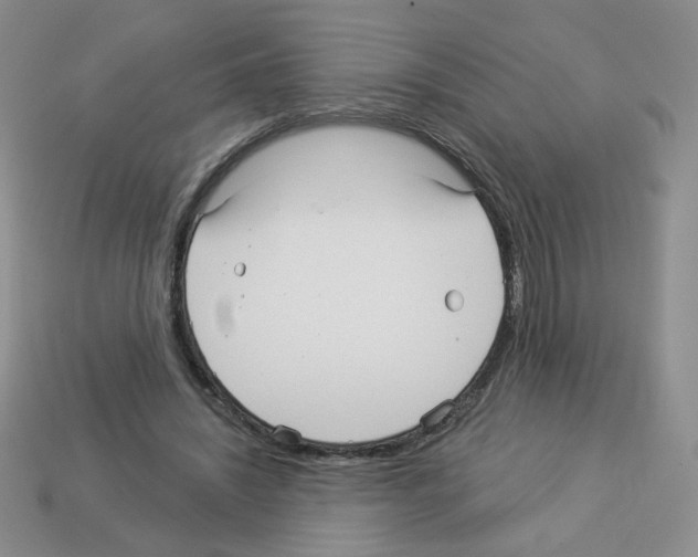 X0000112960444200910081049