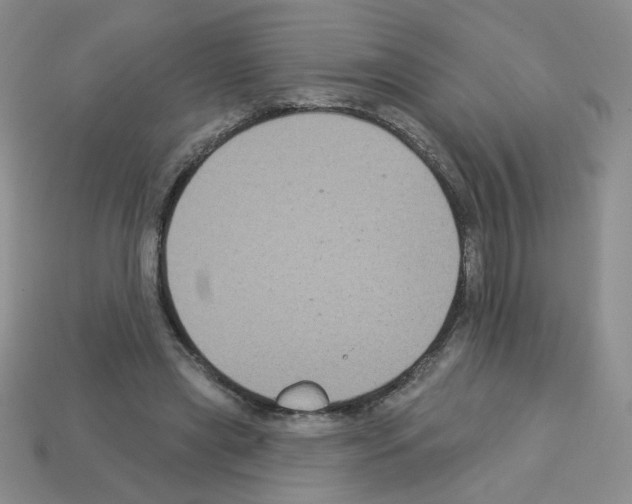 X0000112960445200910081049