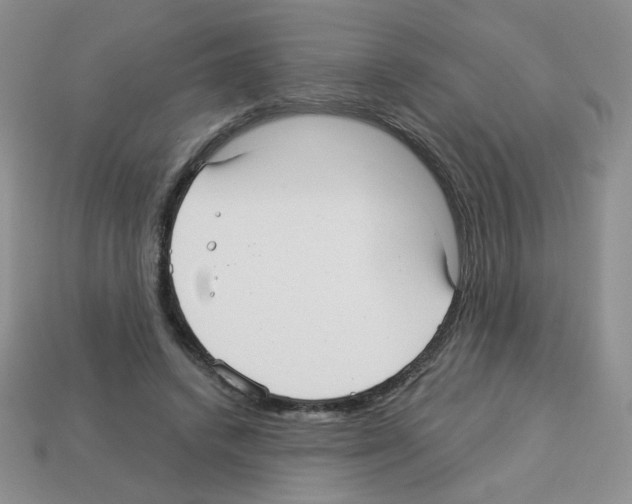 X0000112960448200910081049