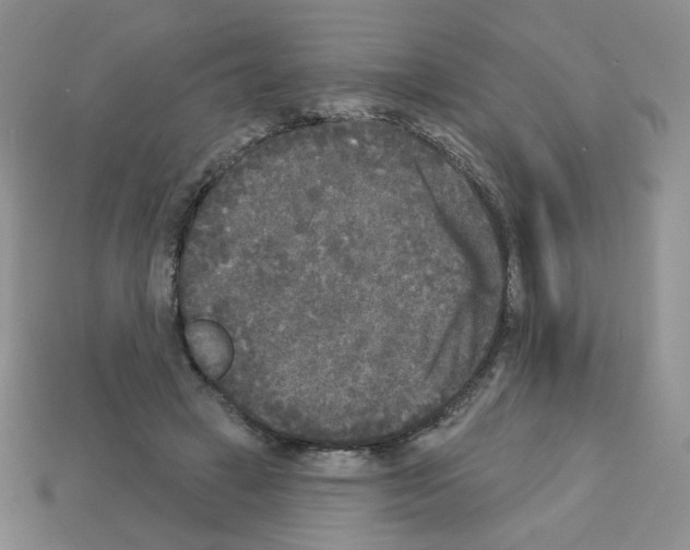 X0000112960449200910081049