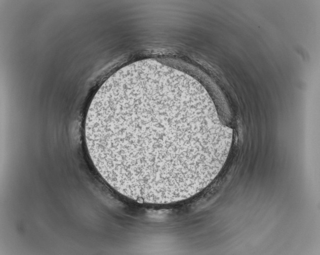 X0000112960450200910081049