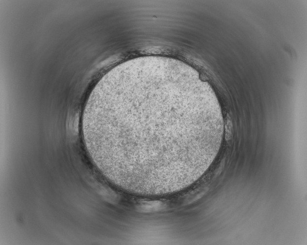 X0000112960454200910081049