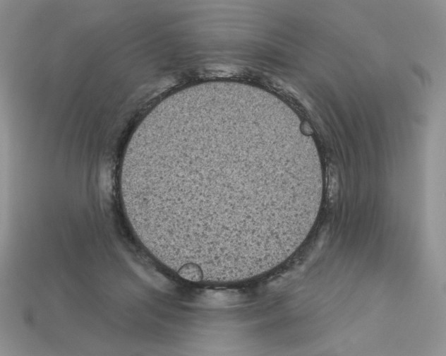 X0000112960455200910081049