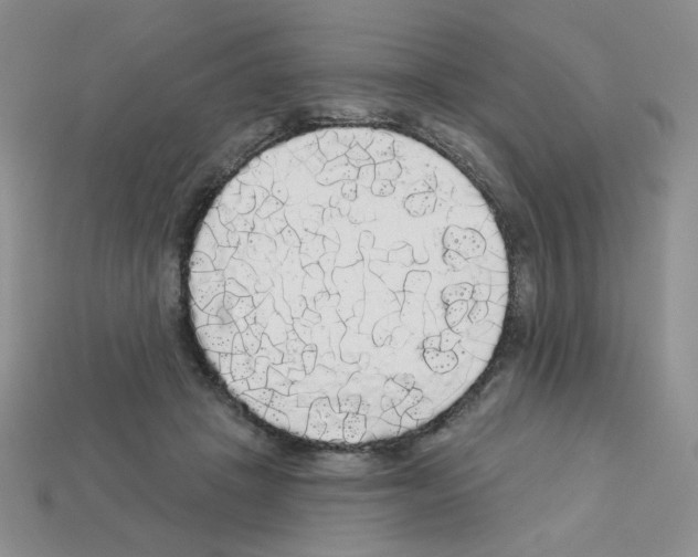 X0000112960457200910081049