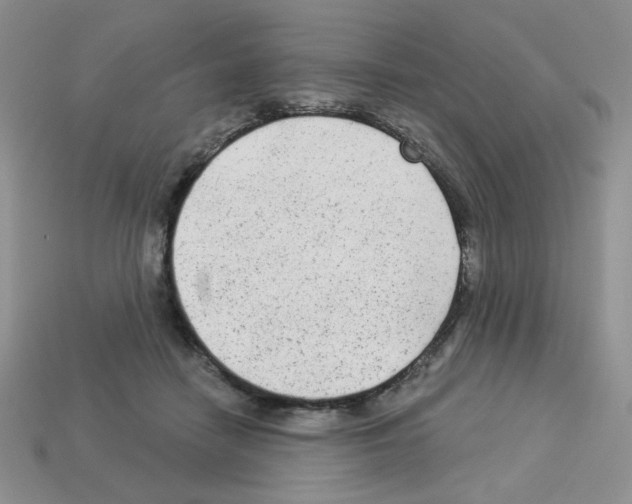 X0000112960458200910081049