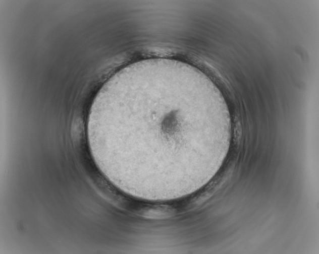 X0000112960459200910081049