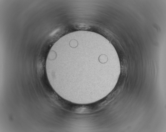 X0000112960460200910081049