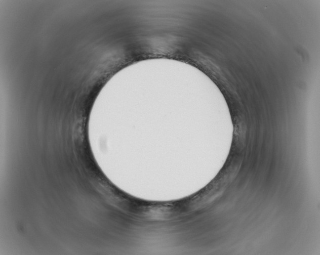 X0000112960462200910081049