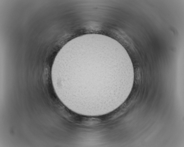 X0000112960463200910081049