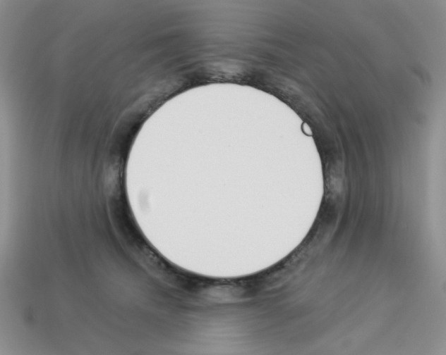 X0000112960468200910081050