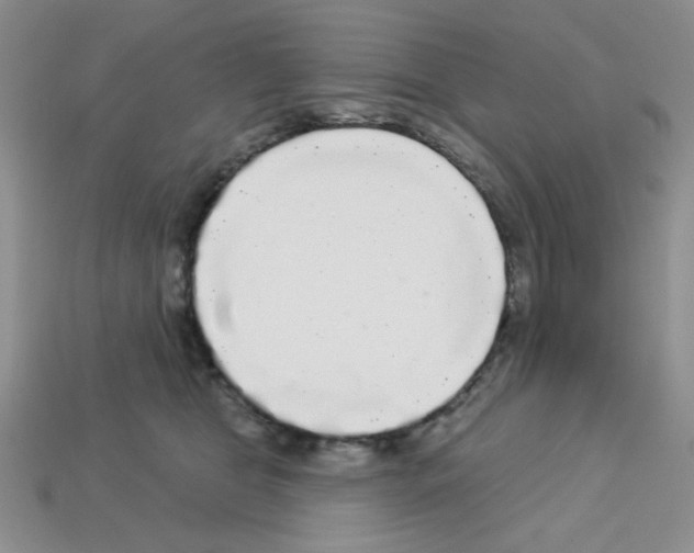 X0000112960469200910081050