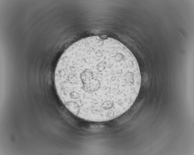 X0000112960470200910081050