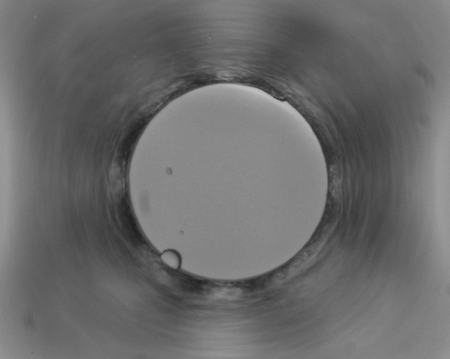 X0000112960471200910081050