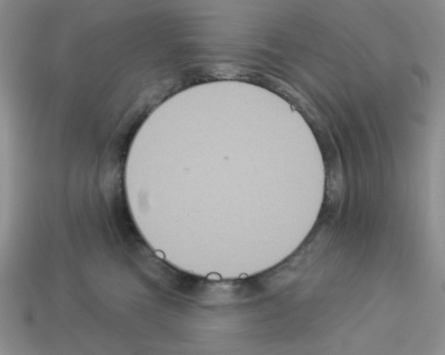 X0000112960473200910081050