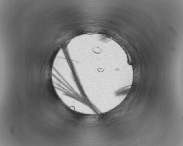 X0000112960474200910081050