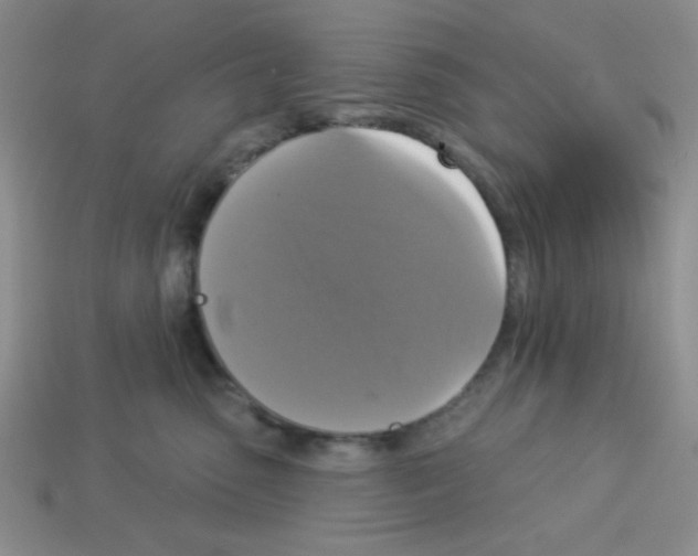 X0000112960475200910081050