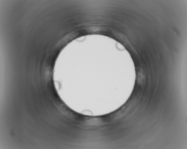 X0000112960476200910081050