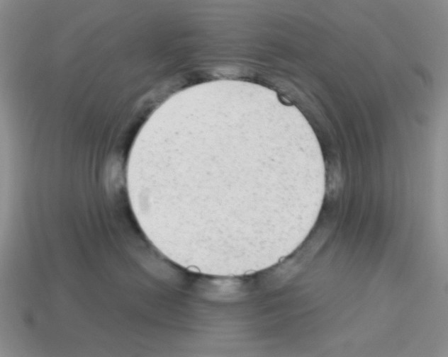 X0000112960478200910081050