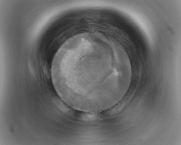 X0000112960479200910081050