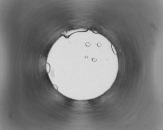 X0000112960480200910081050