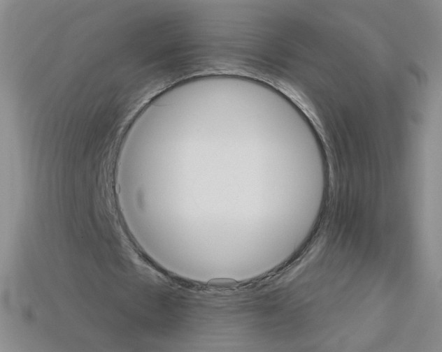 X0000112960481200910081049