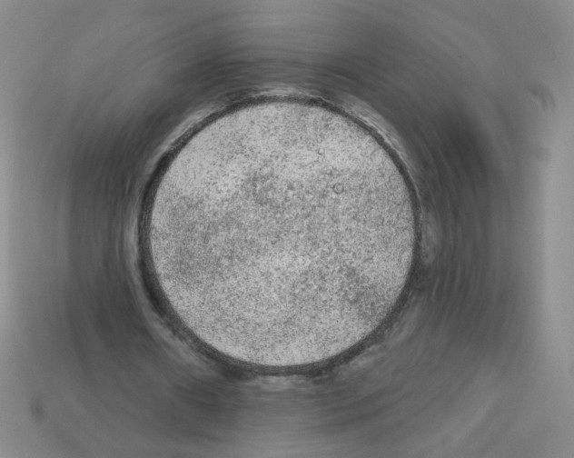 X0000112960482200910081049