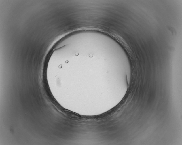 X0000112960484200910081049