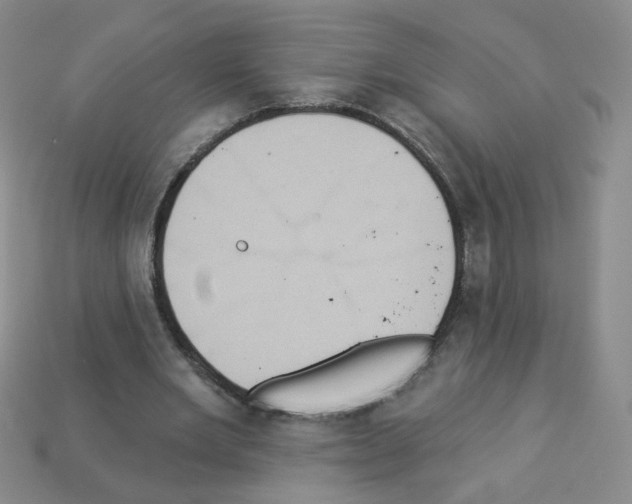 X0000112960485200910081049