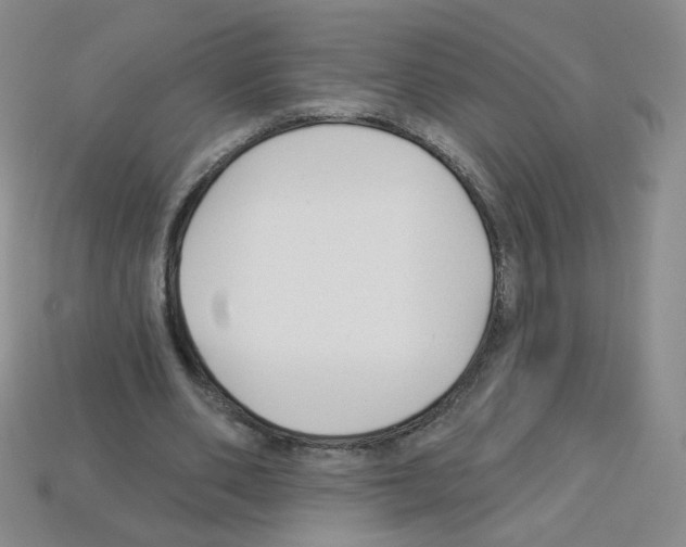 X0000112960486200910081049