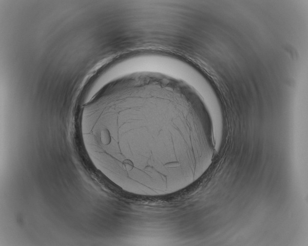 X0000112960488200910081049