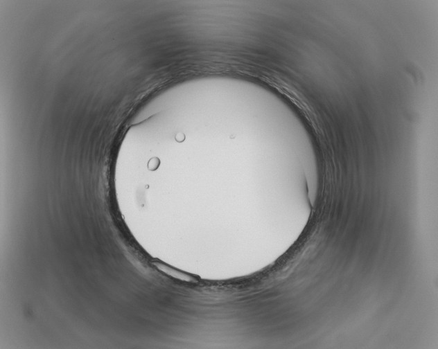 X0000112960489200910081049