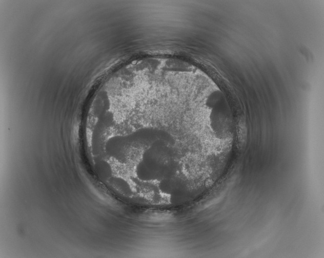 X0000112960491200910081049