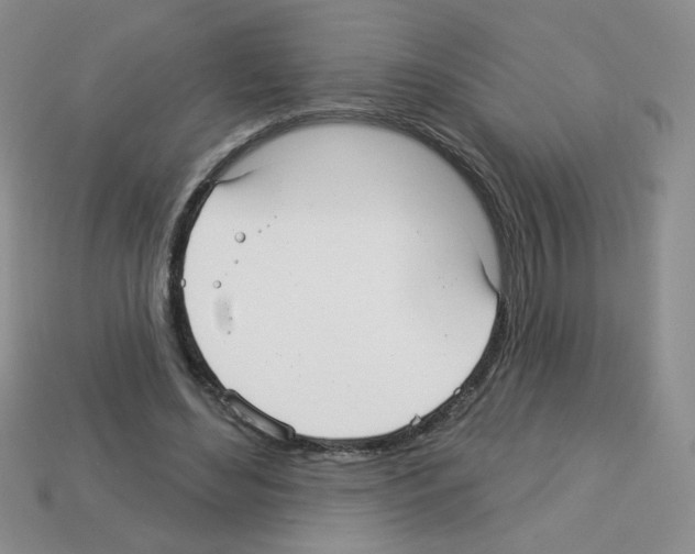 X0000112960492200910081049