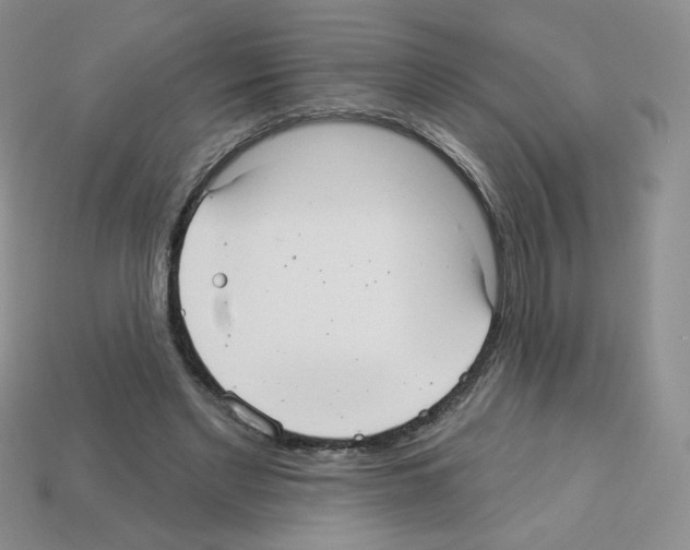 X0000112960493200910081049