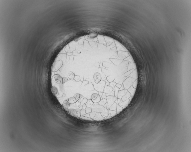 X0000112960495200910081049