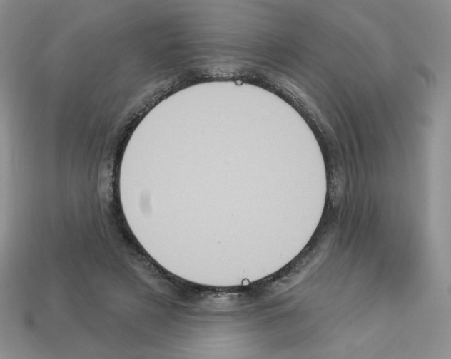 X0000112960497200910081049