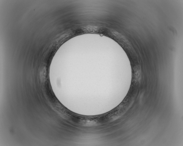 X0000112960498200910081049