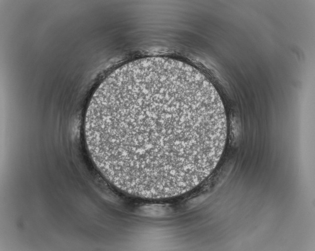 X0000112960499200910081049