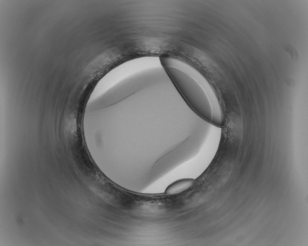 X0000112960500200910081049