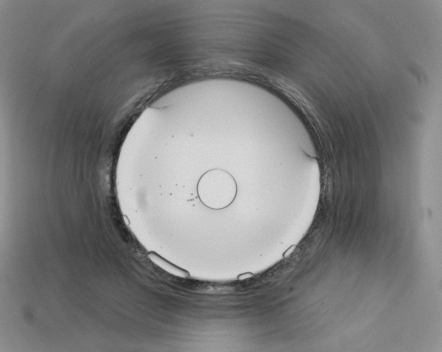 X0000112960501200910081049