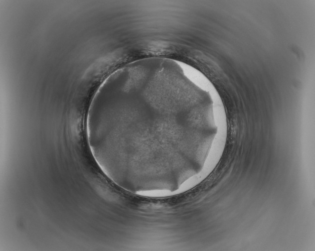 X0000112960503200910081049