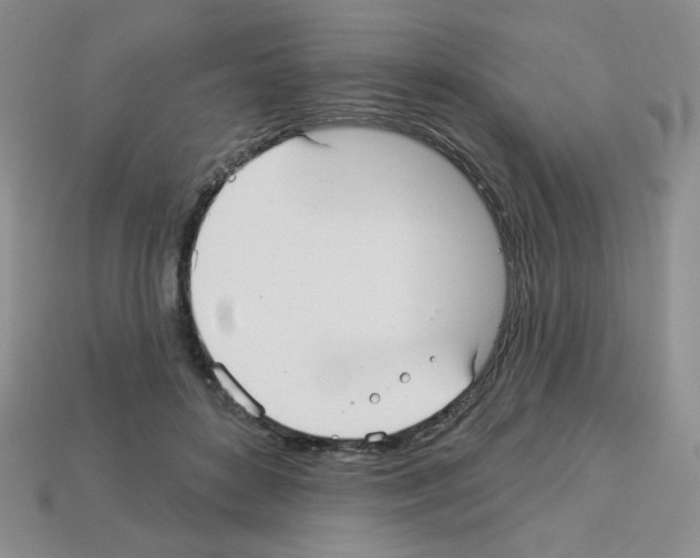 X0000112960504200910081049