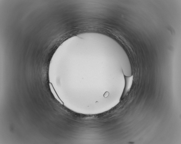 X0000112960505200910081049